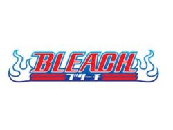 Bleach